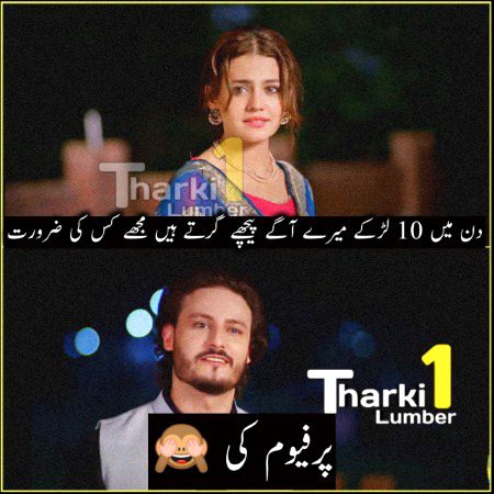 Memes & Satire image