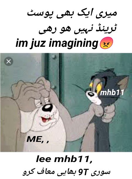 Damadam Roasting image