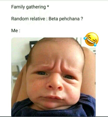 Memes & Satire image