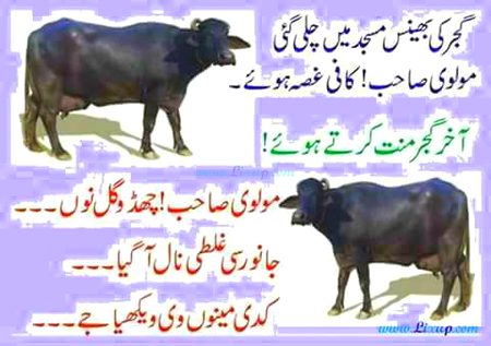 Jokes image