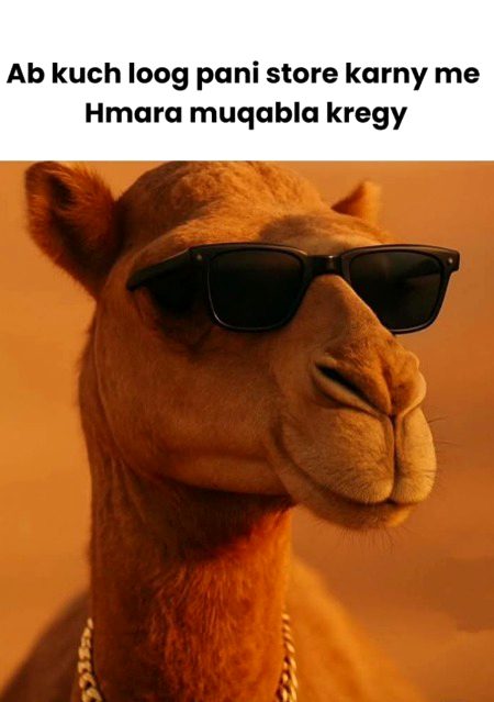 Memes & Satire image