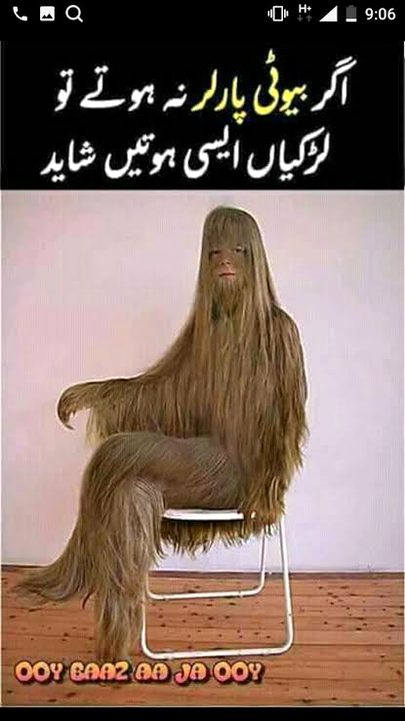 Memes & Satire image