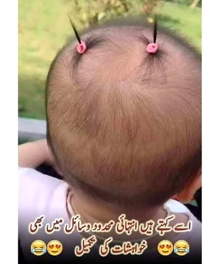 Memes & Satire image