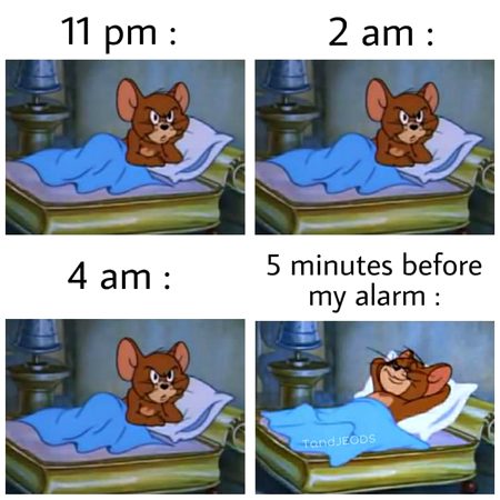 Memes & Satire image