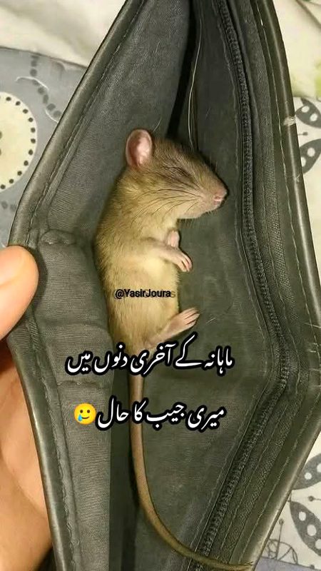 Jokes image