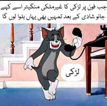 Memes & Satire image