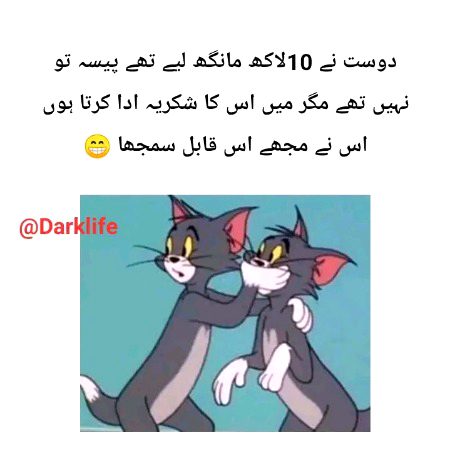 Memes & Satire image