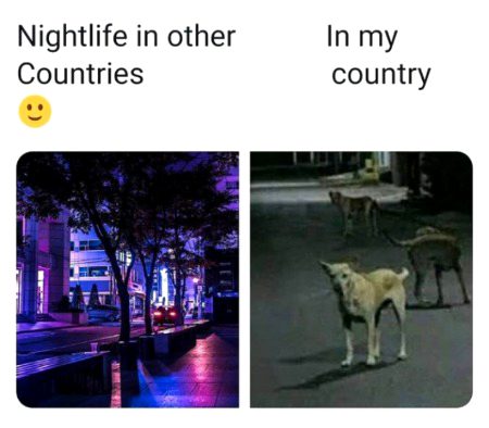 Memes & Satire image
