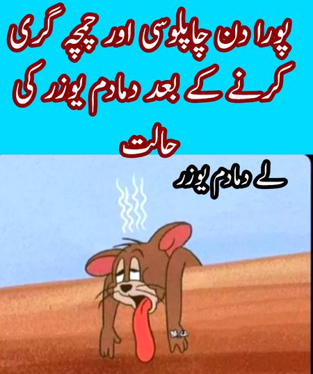 Damadam Roasting image