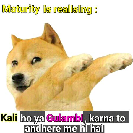 Memes & Satire image