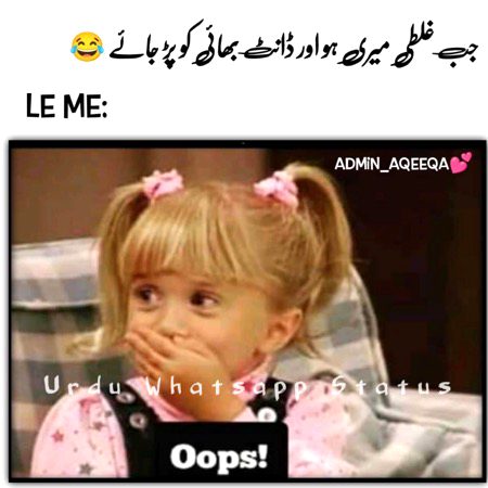 Memes & Satire image