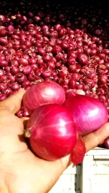 Beautiful Nature image