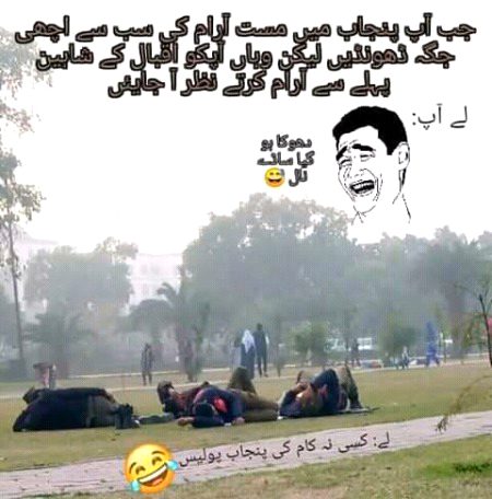 Memes & Satire image