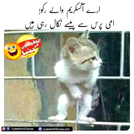 Funny joke