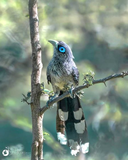 Beautiful Nature image