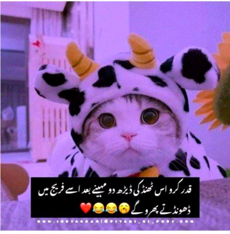Jokes image