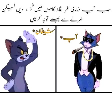 Memes & Satire image