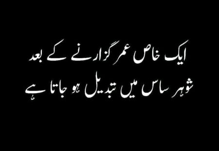 Memes & Satire image