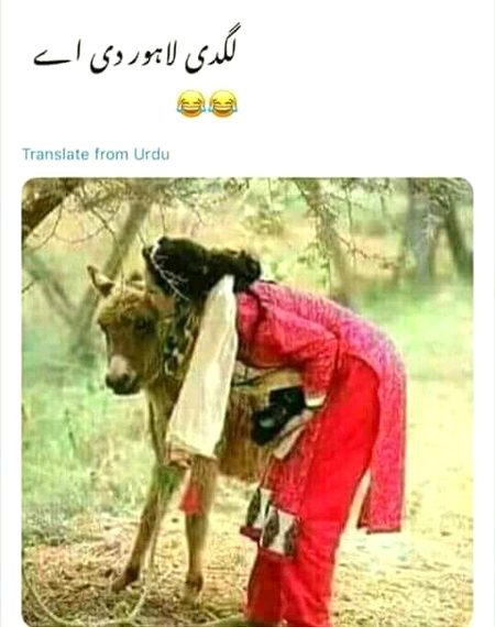 Memes & Satire image