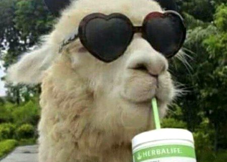 Beautiful Nature image