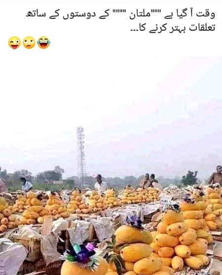 Memes & Satire image