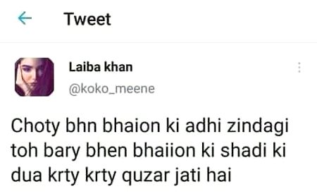 Memes & Satire image