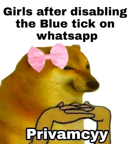 Memes & Satire image