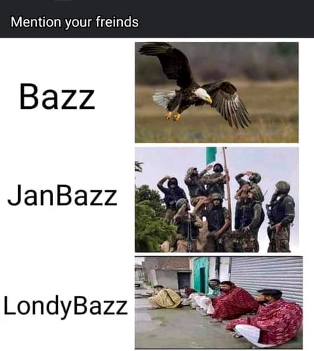 Memes & Satire image