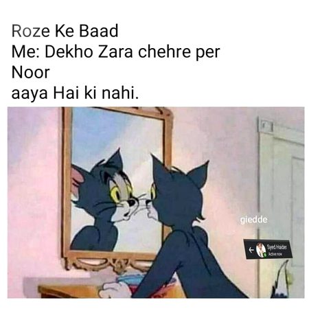 Memes & Satire image