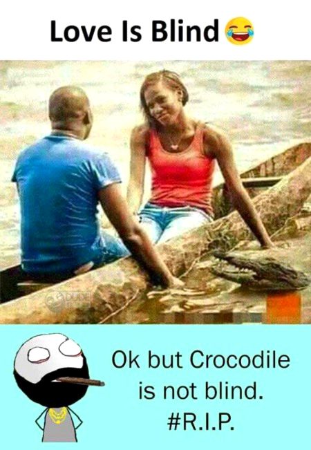 Memes & Satire image