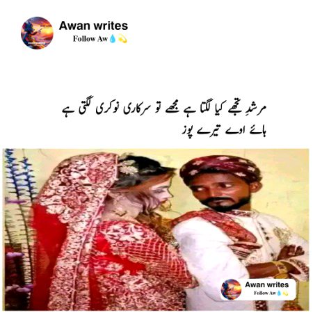 Memes & Satire image
