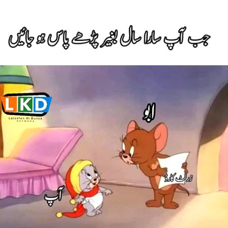 Memes & Satire image