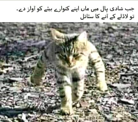 Funny joke