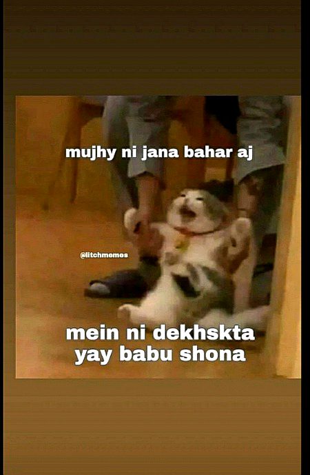 Memes & Satire image