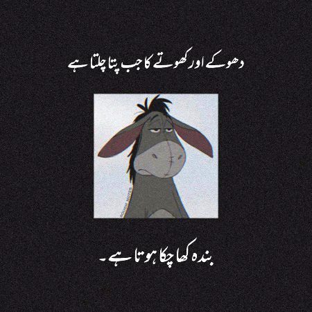 Memes & Satire image