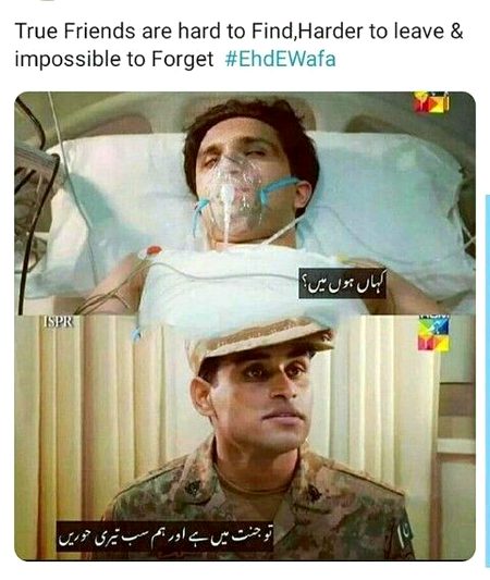 Memes & Satire image