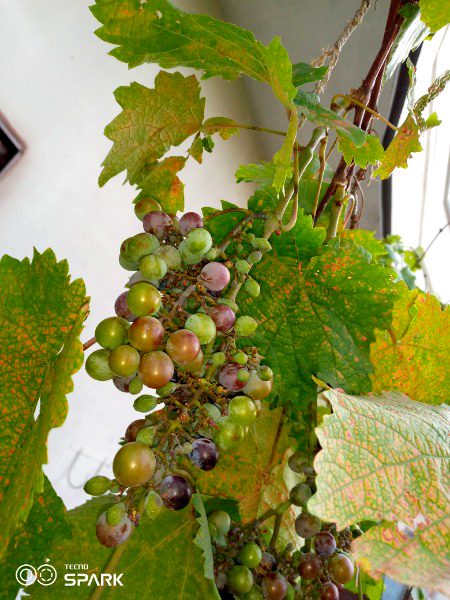 Beautiful Nature image