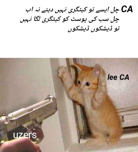 Damadam Roasting image