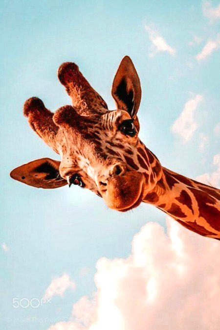 Beautiful Nature image