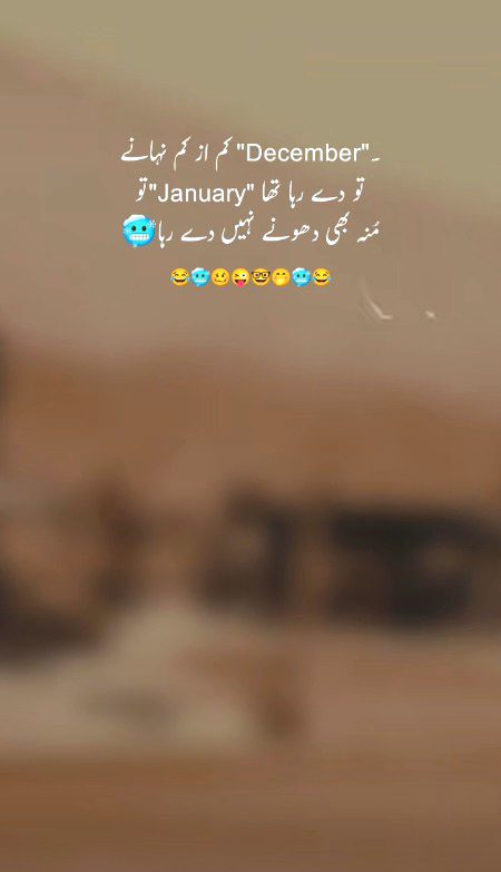 Memes & Satire image