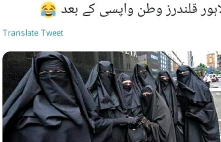 Memes & Satire image