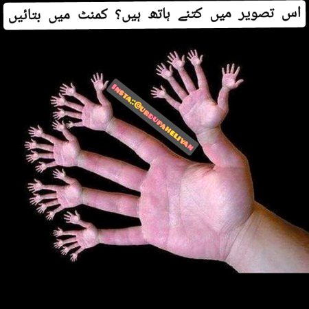 Knowledge Test image