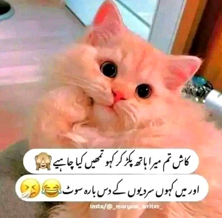Jokes image