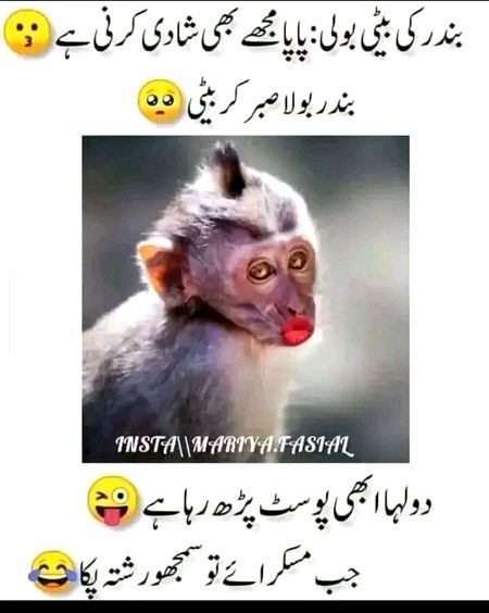 Memes & Satire image