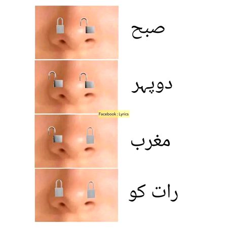 Memes & Satire image