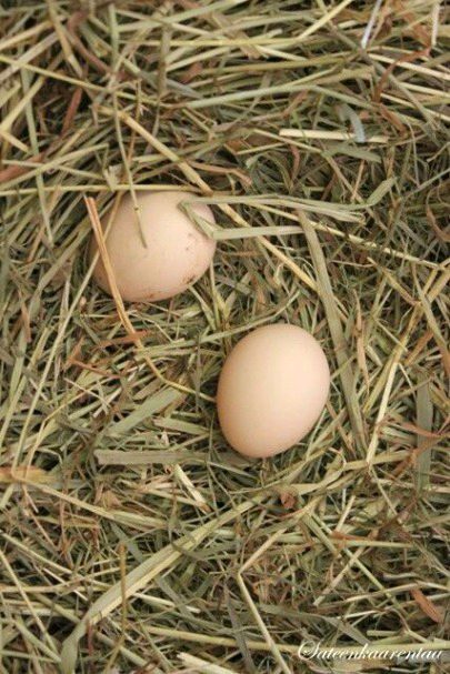 Beautiful Nature image