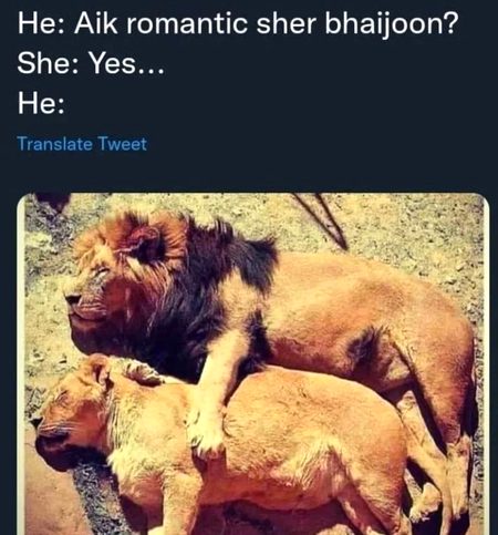 Memes & Satire image