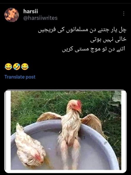 Memes & Satire image