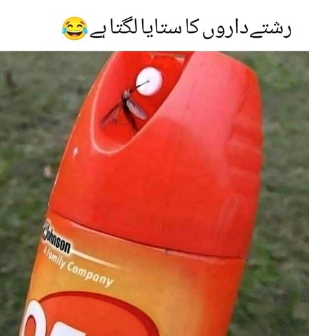 Memes & Satire image