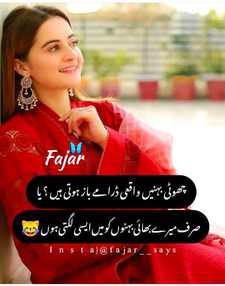 Memes & Satire image